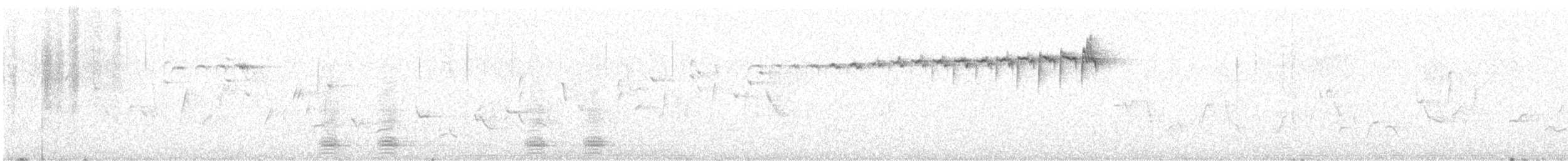 מלכילון לבן-גבות - ML619356589