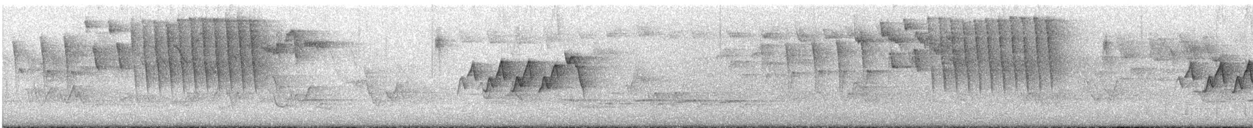 סבכון טנסי - ML619356852