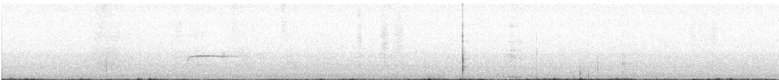 Тиранчик-тонкодзьоб південний - ML619357367