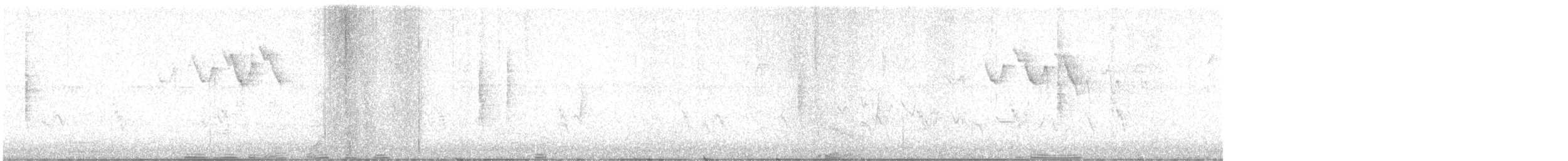 Paruline noir et blanc - ML619358576