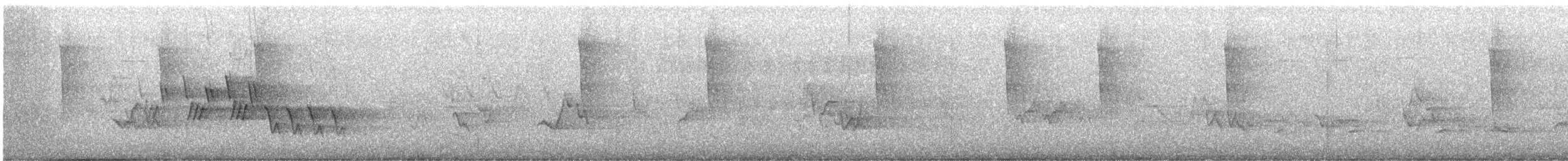 Черногорлая хвойница - ML619358789