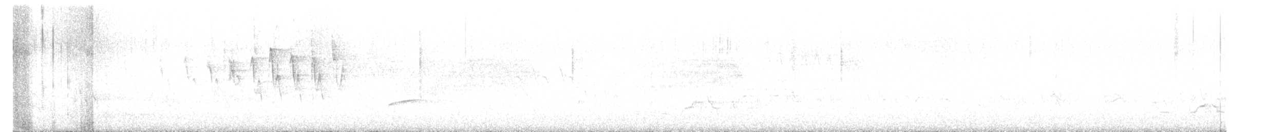 Paruline à calotte noire - ML619359494
