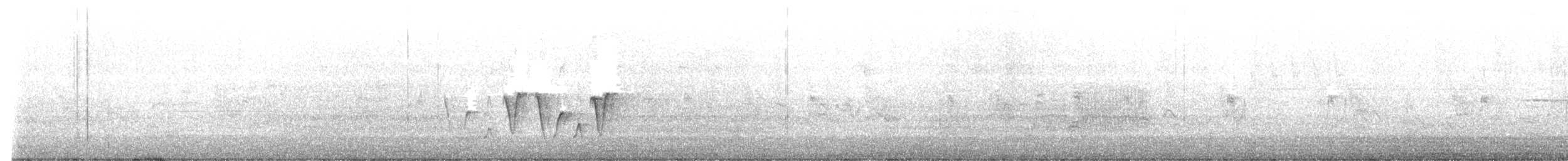 lesňáček kroužkooký - ML619359942