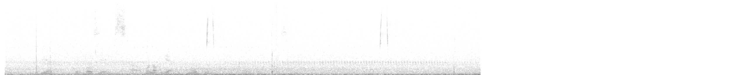 sluka lesní - ML619360518