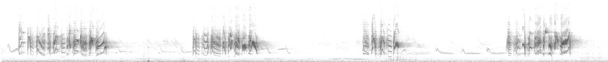 Braunaugenvireo (arizonae) - ML619360730