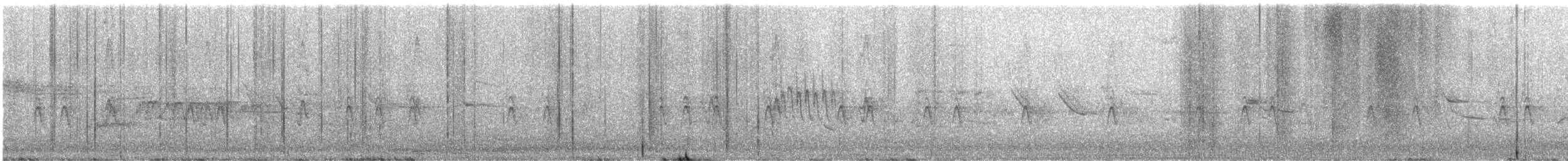 finch sp. - ML619362431