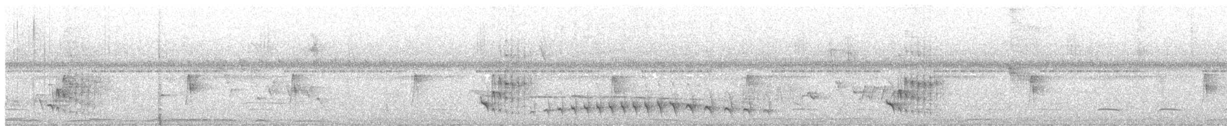 Fleckenbrust-Ameisenfänger - ML619363233