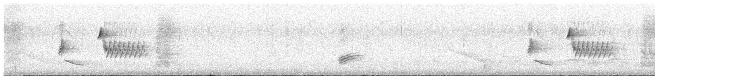 Toquí Flanquirrufo (erythrophthalmus/canaster) - ML619363823