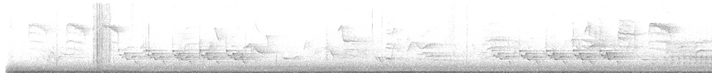 Troglodyte de Caroline - ML619364068