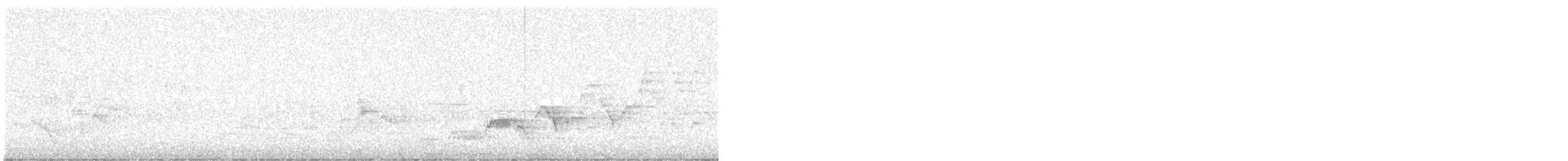 Дрізд-короткодзьоб Cвенсона - ML619364514