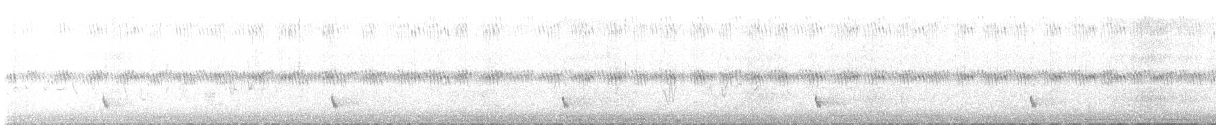 Wiesenstärling - ML619365620