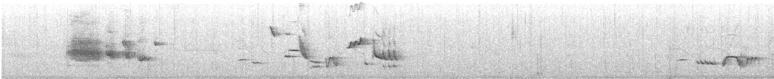 blåtrost (philippensis) - ML619365964
