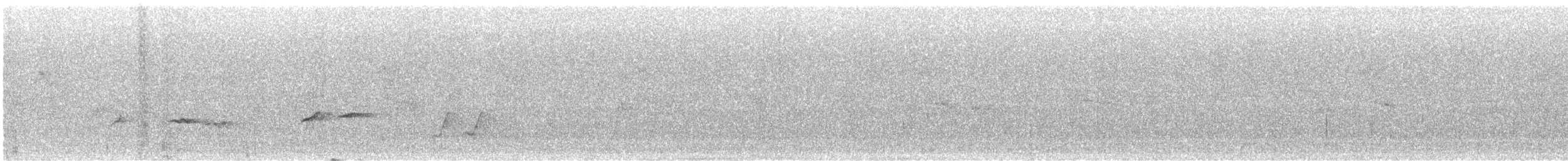 Черная райская мухоловка - ML619366120