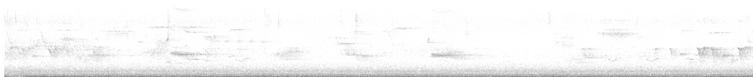 Paruline à gorge grise - ML619366892