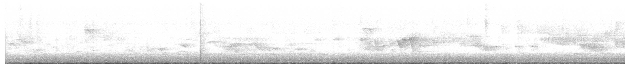 Paruline à gorge grise - ML619367225