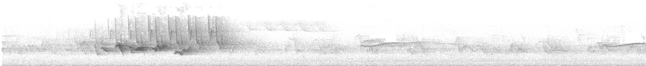 Kara Kanatlı Piranga - ML619368377