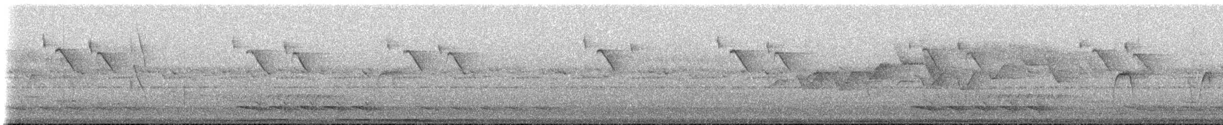Conirostre cul-roux - ML619368772