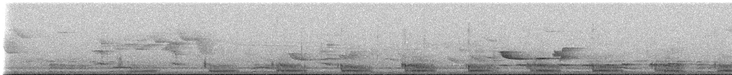 フイリコチュウハシ - ML619369781