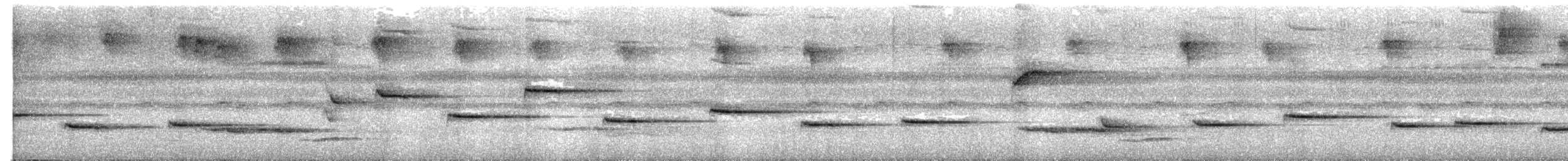 Troglodyte philomèle - ML619369788