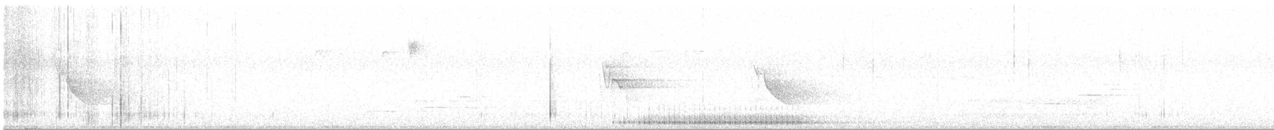 Haarspecht [villosus-Gruppe] - ML619370138