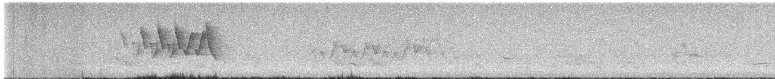 Chestnut-sided Warbler - ML619370709