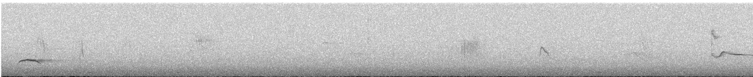 Çizgili Boğazlı Çalı Tiranı - ML619372402