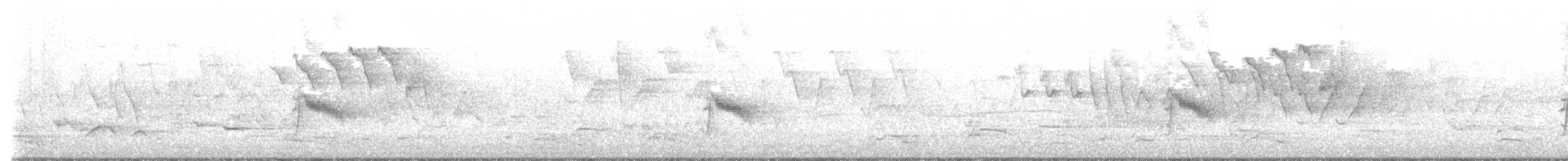 Дрізд-короткодзьоб малий - ML619372464