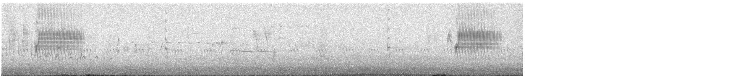 Тауї плямистий - ML619373538