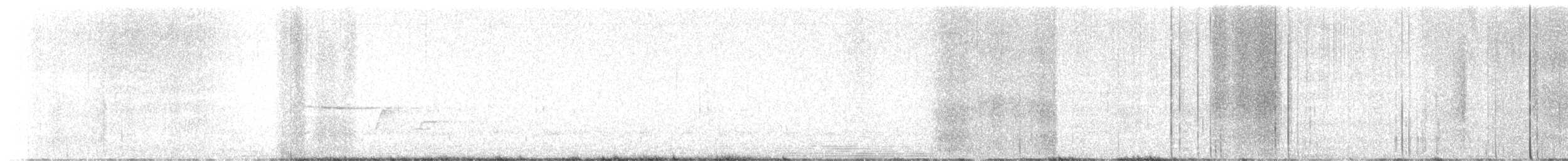 Дрізд-короткодзьоб плямистоволий - ML619373632