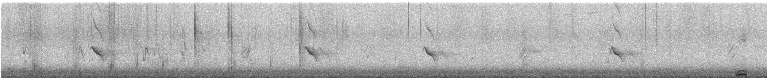Evening Grosbeak (type 1) - ML619375441