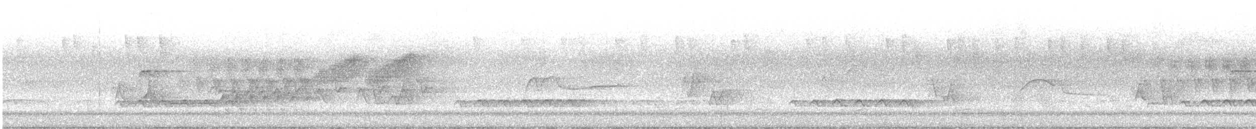 Cerulean Warbler - ML619375536