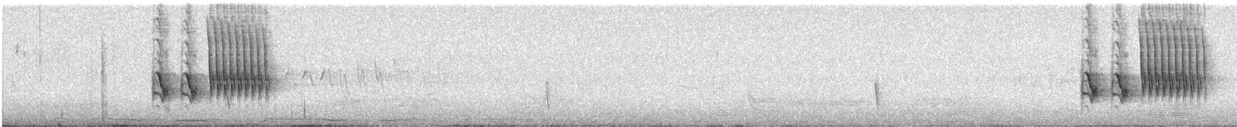 Тауї плямистий - ML619375957
