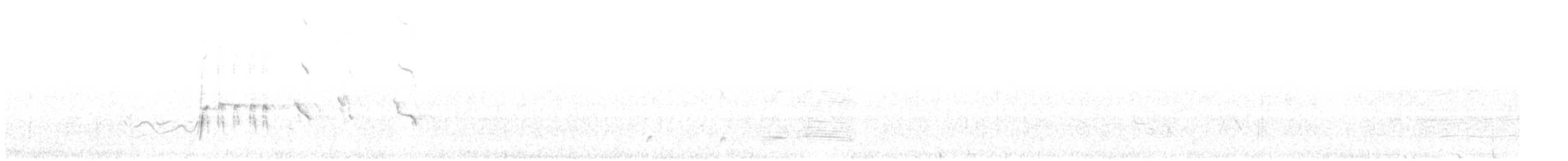 Great-tailed Grackle - ML619376095