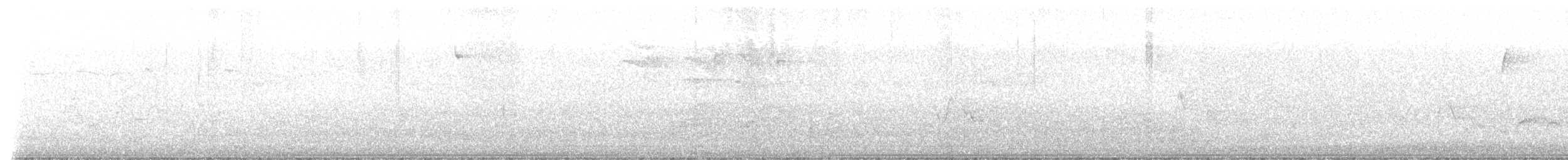 Дрізд-короткодзьоб Cвенсона - ML619377971