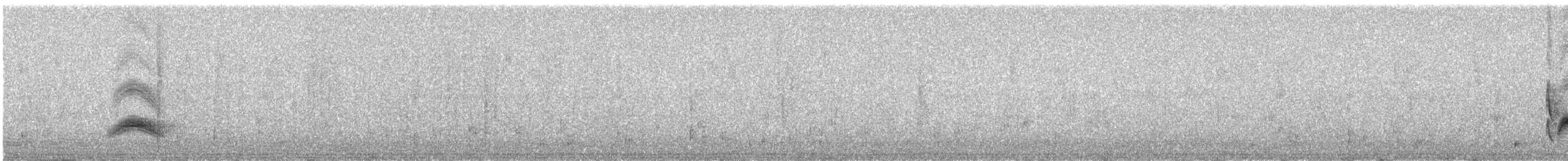Серогрудый тиранн - ML619378167