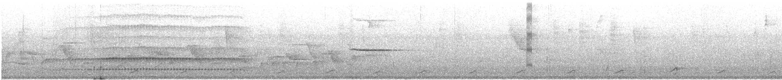 Дятел-смугань сіроголовий - ML619379782