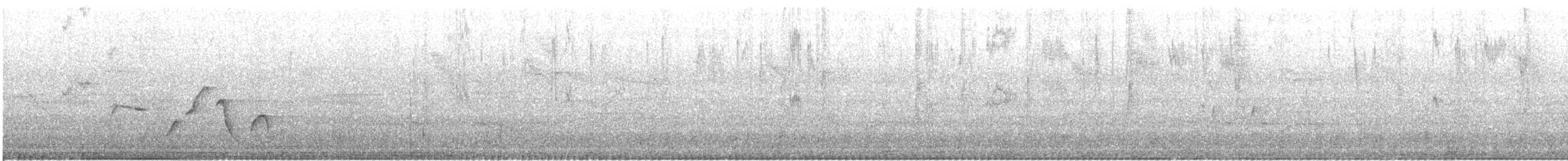 Colibri zémès - ML619379946