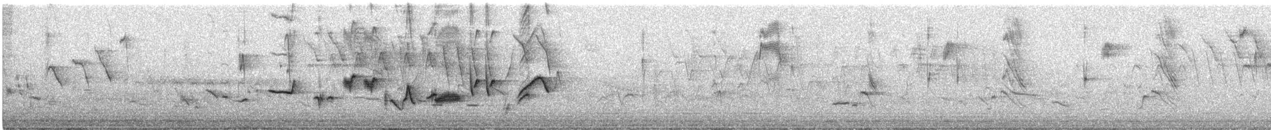 Oriole des vergers - ML619380972