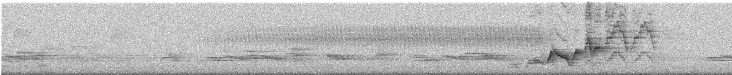 Дрізд-короткодзьоб Cвенсона - ML619381129