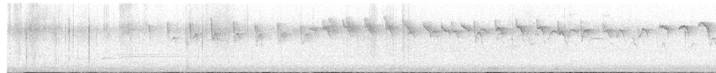 rorýs srpokřídlý - ML619381541