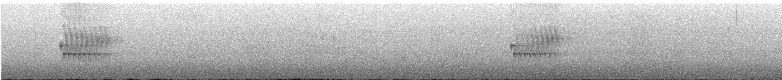 Тауї плямистий - ML619381691