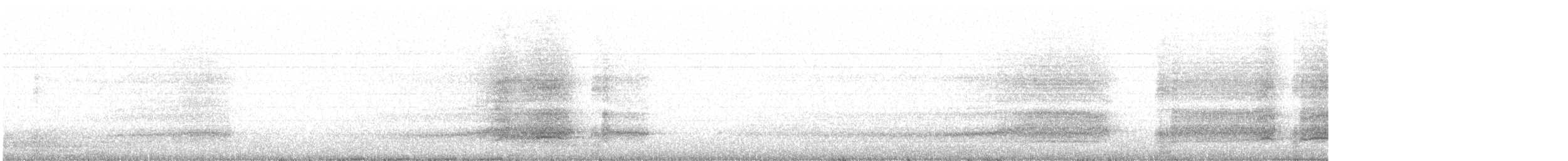 Сипуха крапчаста - ML619382830