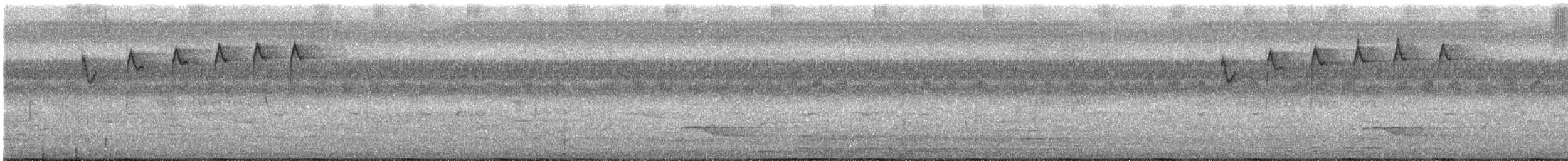 Turuncu Karınlı Öksekuşu - ML619383170