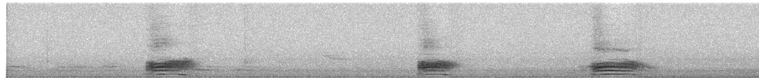 Large-billed Crow - ML619383567