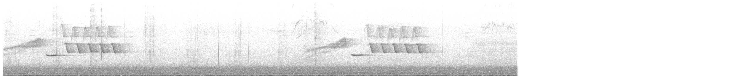 Troglodyte de Bewick - ML619383600