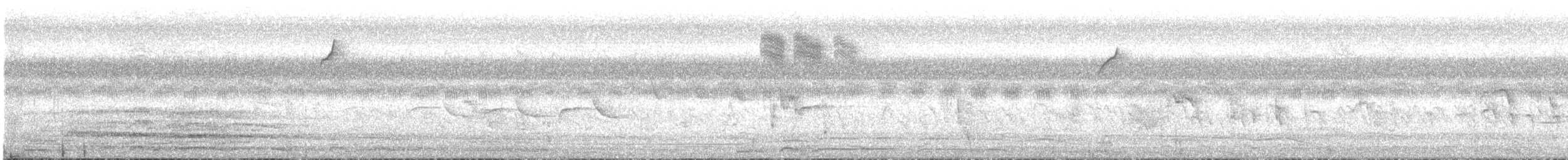 Visayan Rhabdornis - ML619385101