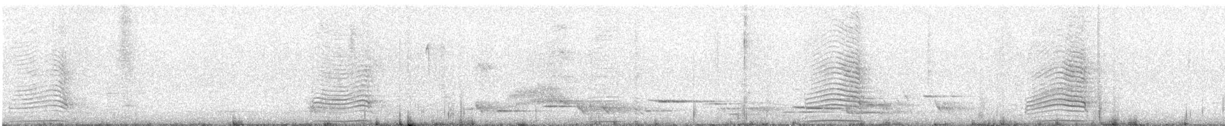 South Island Takahe - ML619385305