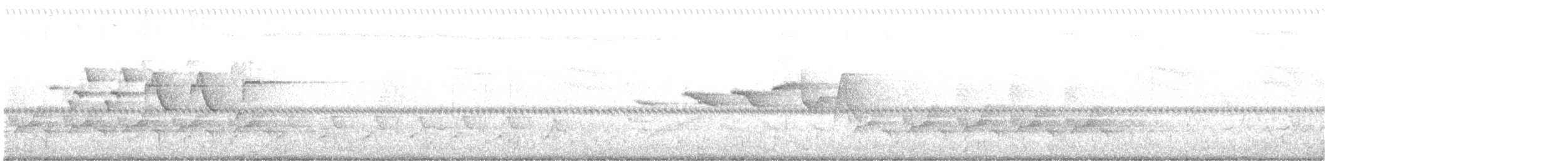 チャカブリアメリカムシクイ - ML619386540