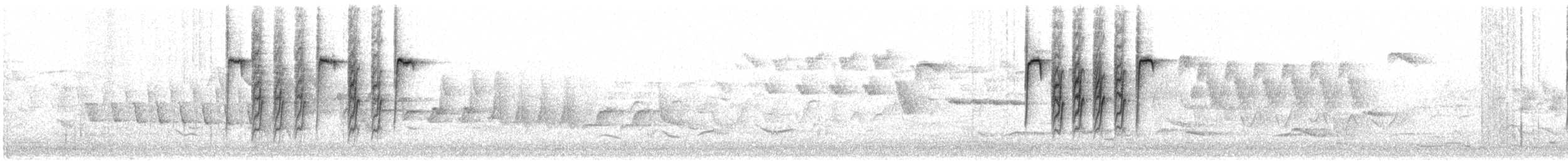 Amilotx urdina - ML619386915