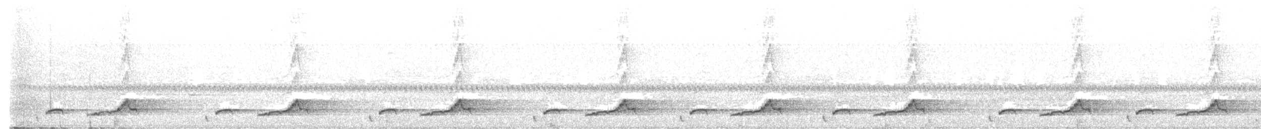 Schwarzkehl-Nachtschwalbe - ML619387361